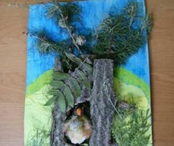 Z dobrodziejstw Matki Natury 2012